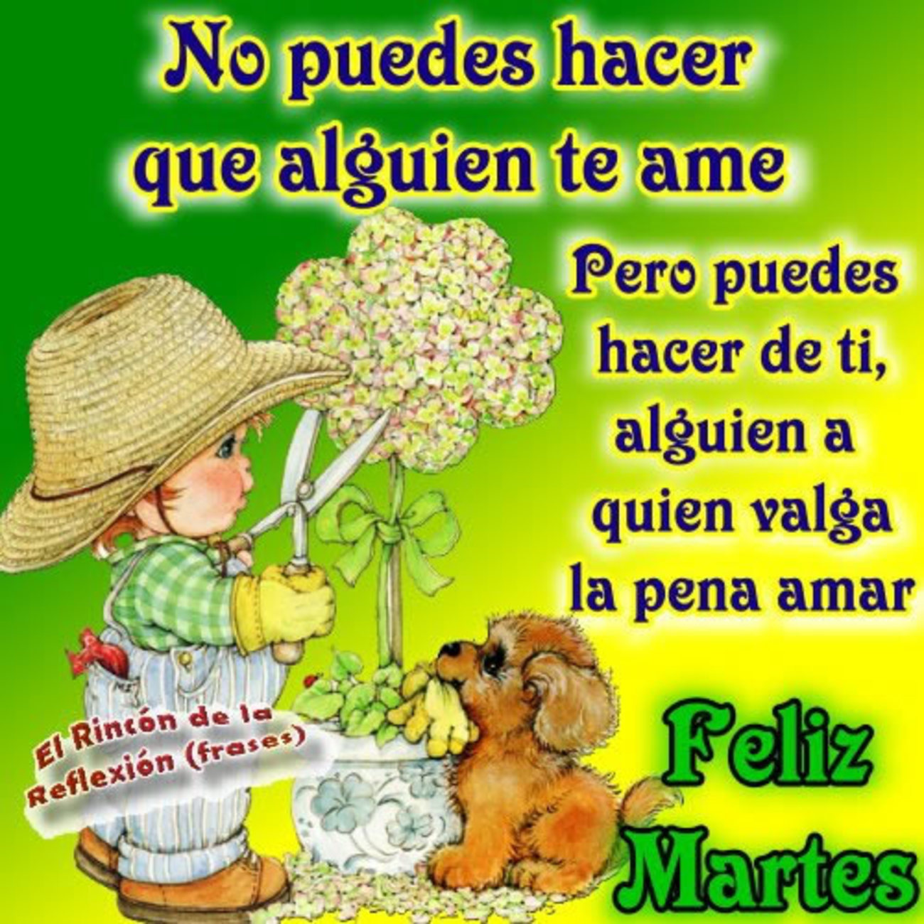 Feliz Martes WhatsApp 59