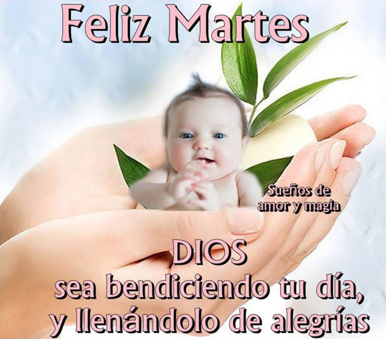 Feliz Martes WhatsApp 64