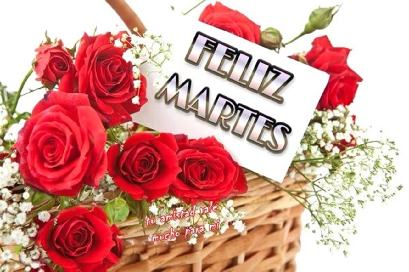 Feliz Martes amor 23