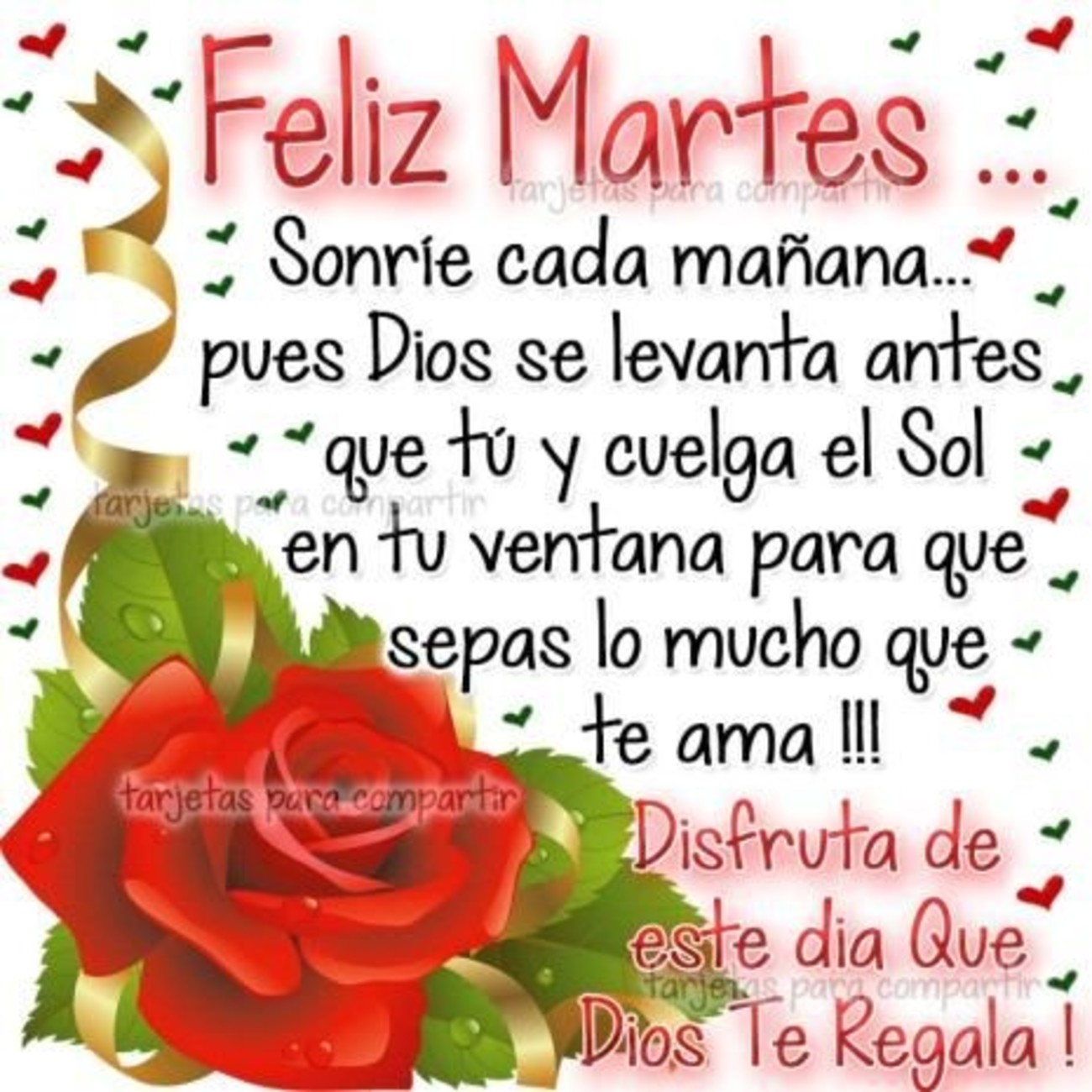 Feliz Martes bellas imágenes 168