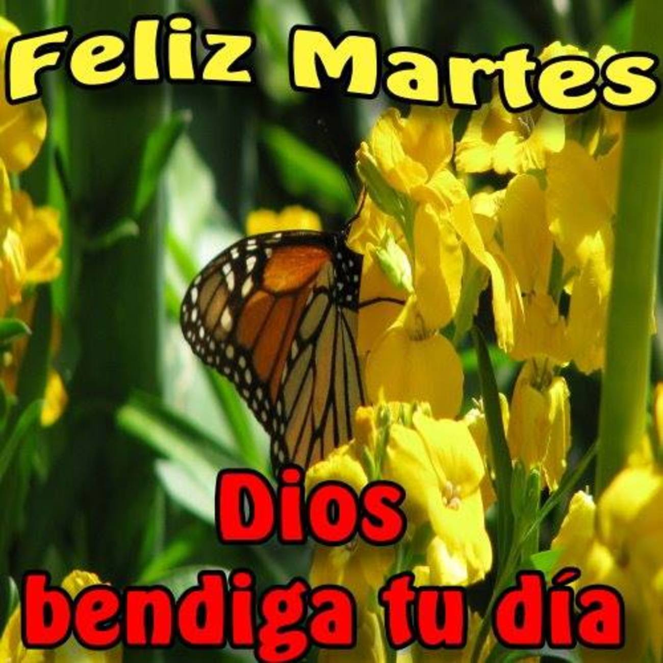 Feliz Martes bendiciones 210