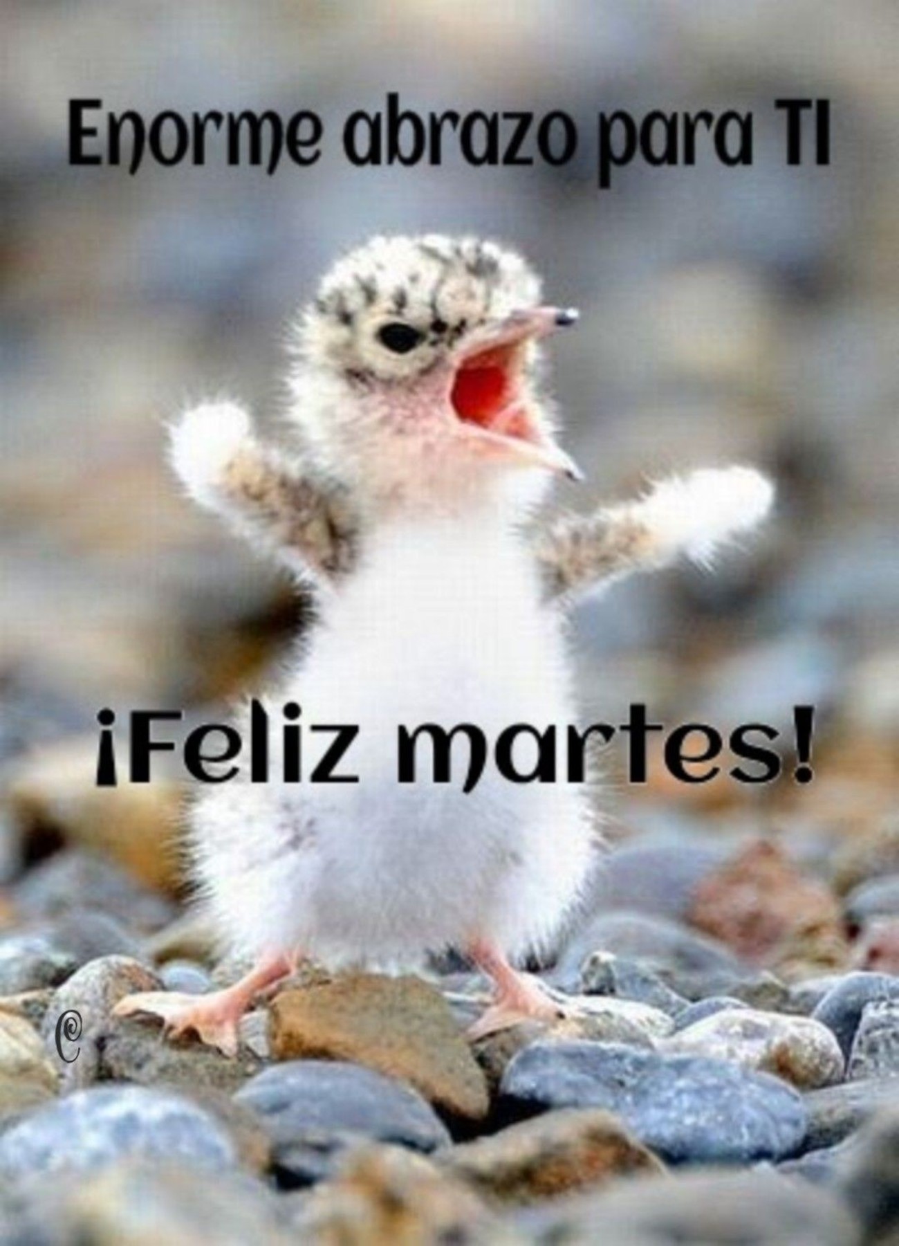 Feliz Martes con abrazo 122