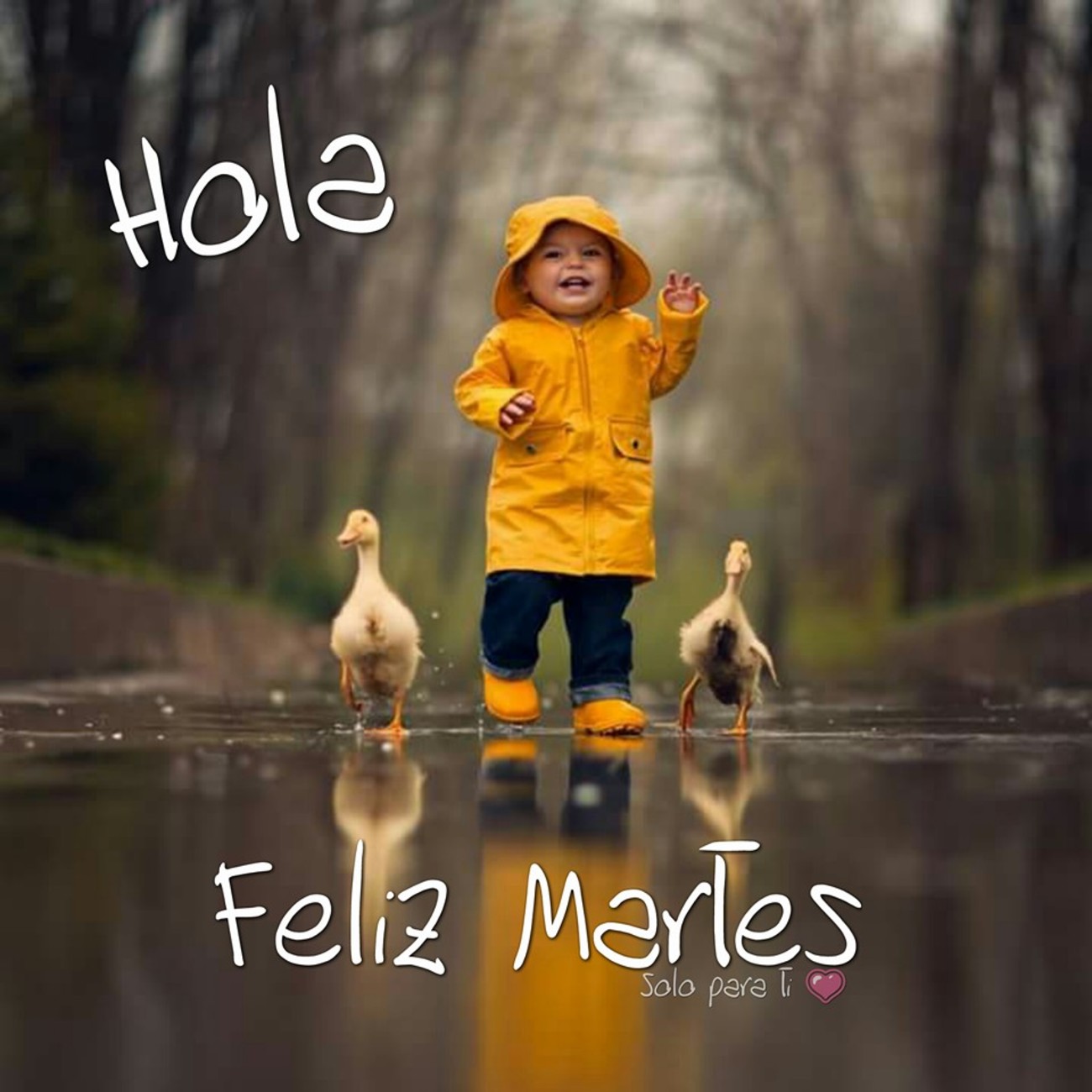 Feliz Martes con lluvia 159