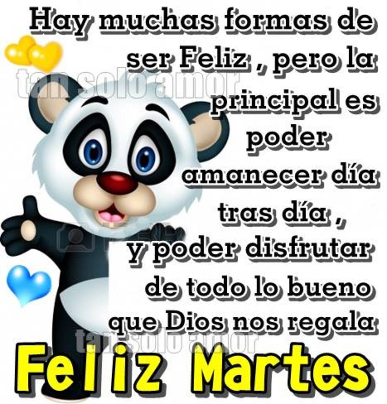 Feliz Martes frases 284