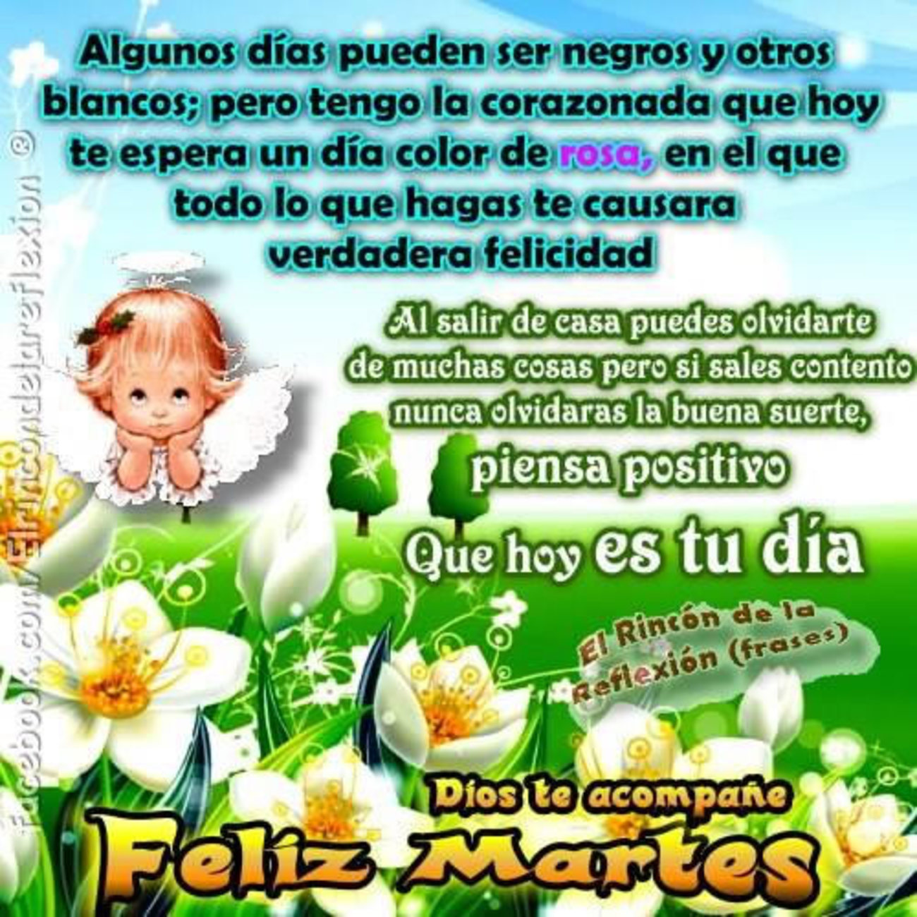 Feliz Martes frases 32