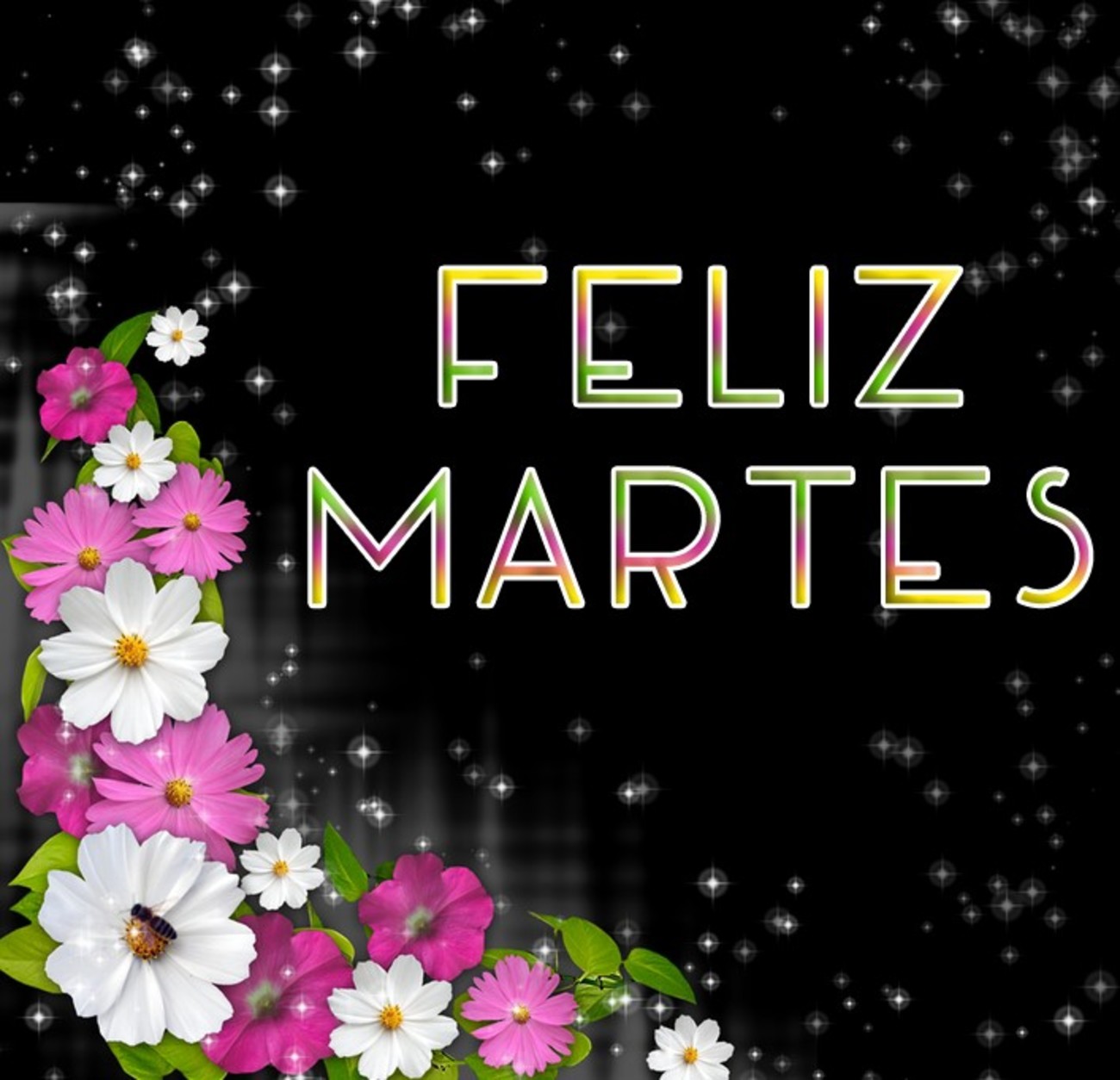 Feliz Martes gratis 84