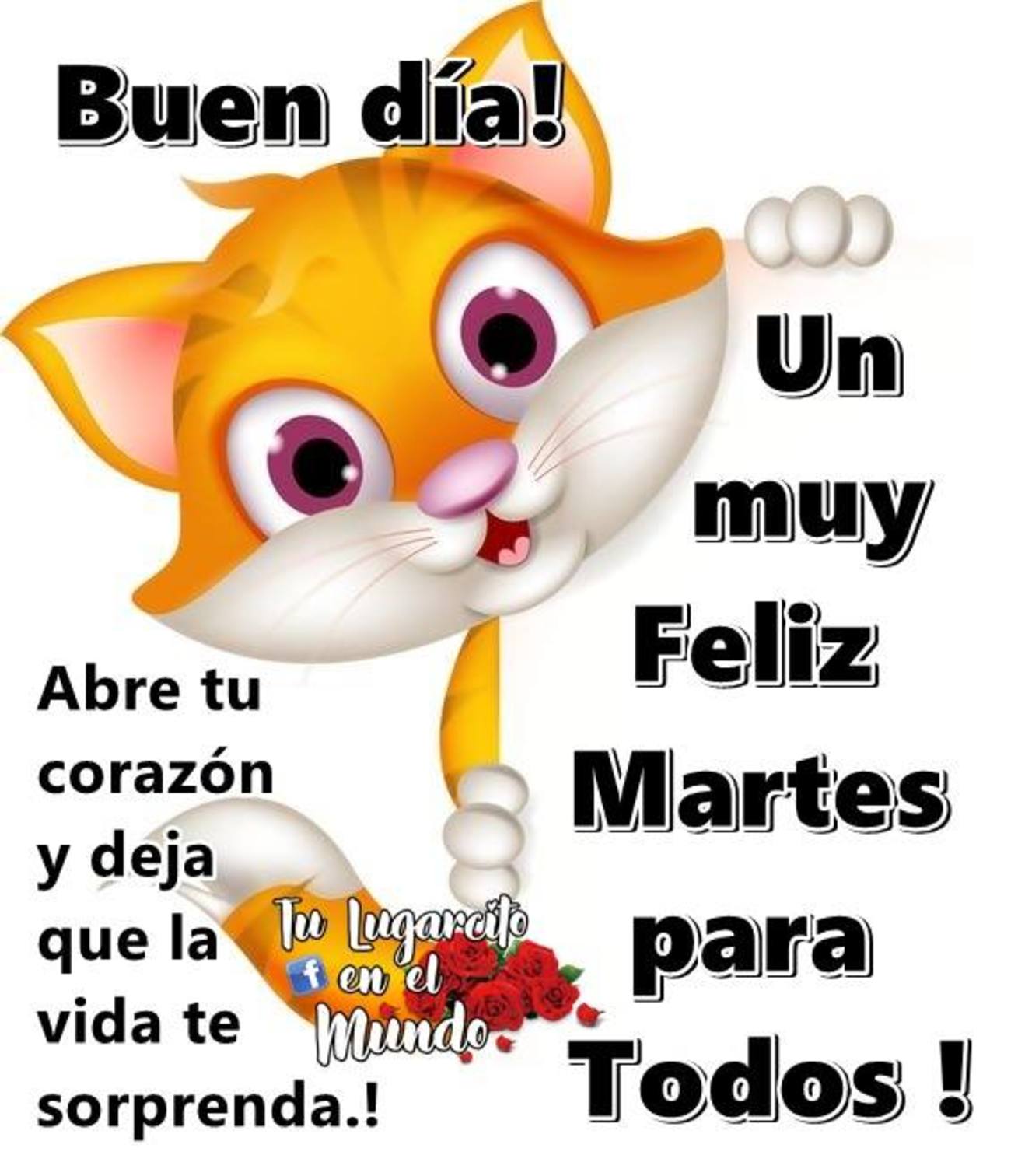 Feliz Martes gratis 87