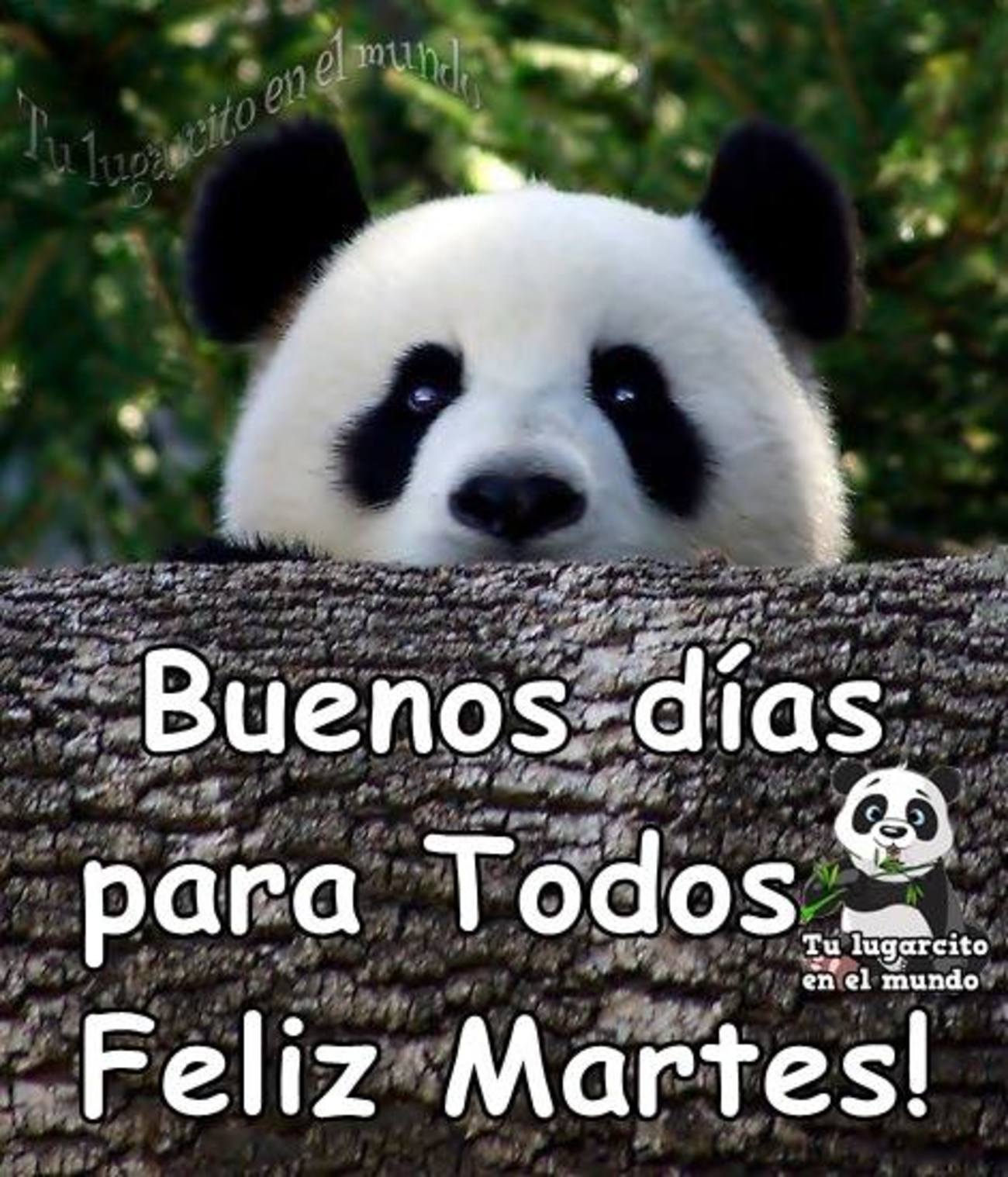 Feliz Martes hermosas imágenes 173