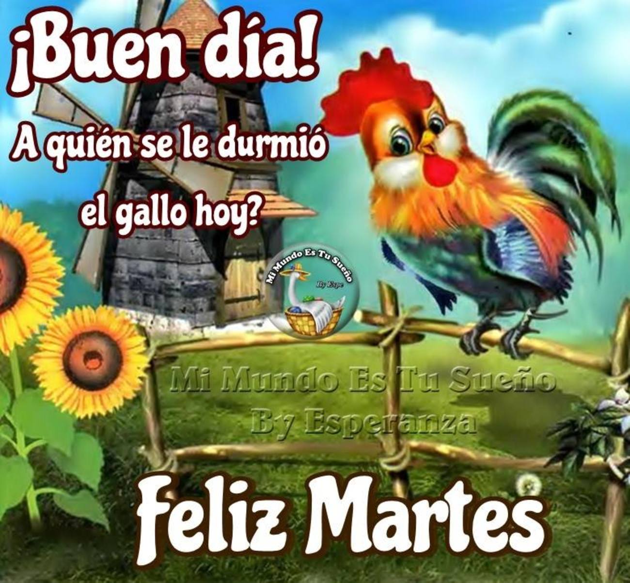 Feliz Martes hermosas imágenes 176