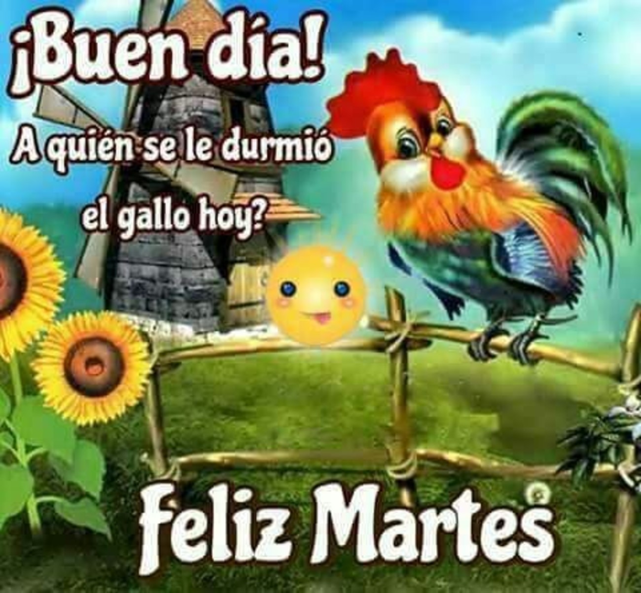 Feliz Martes imágenes 265