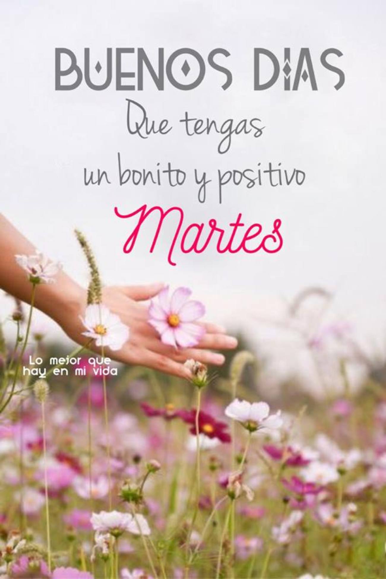 Feliz Martes imágenes bonitas 267