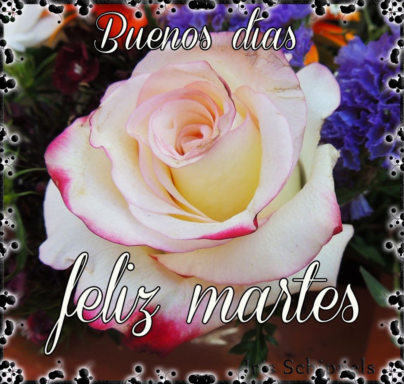 Feliz Martes imágenes bonitas 273