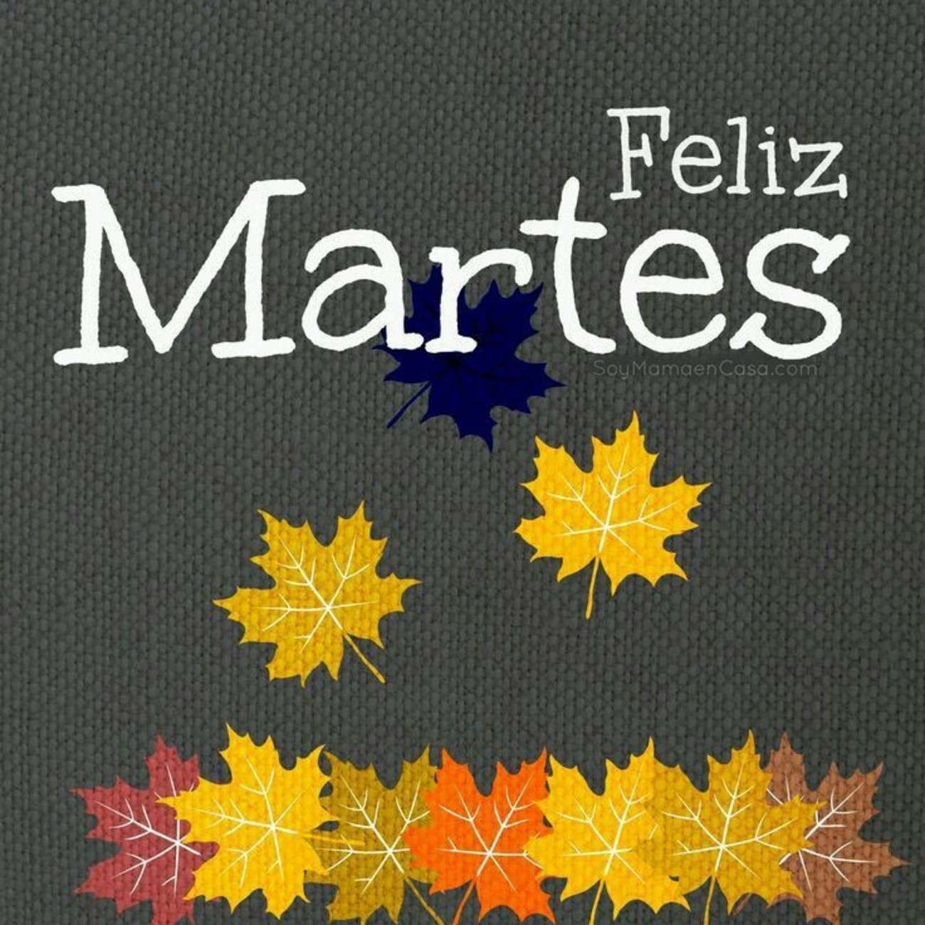 Feliz Martes otoño 94