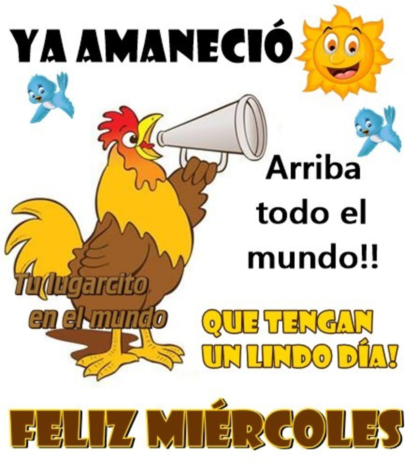 Image result for imagen feliz miercoles dios te bendiga