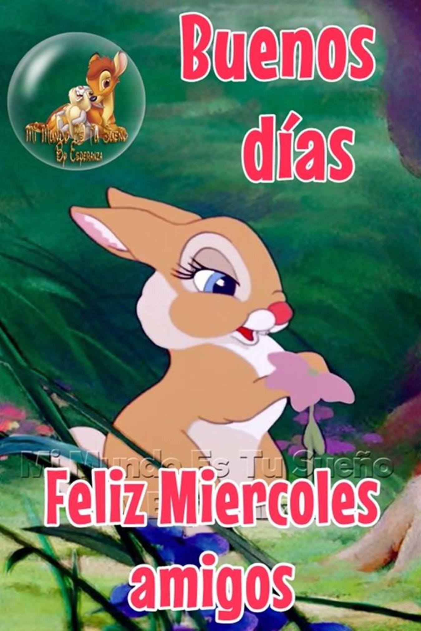 Feliz Miércoles Disney 87