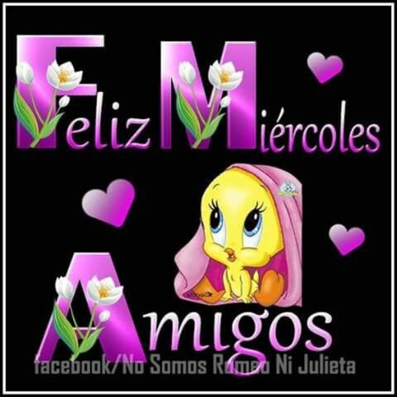 Feliz Miércoles amigos 7