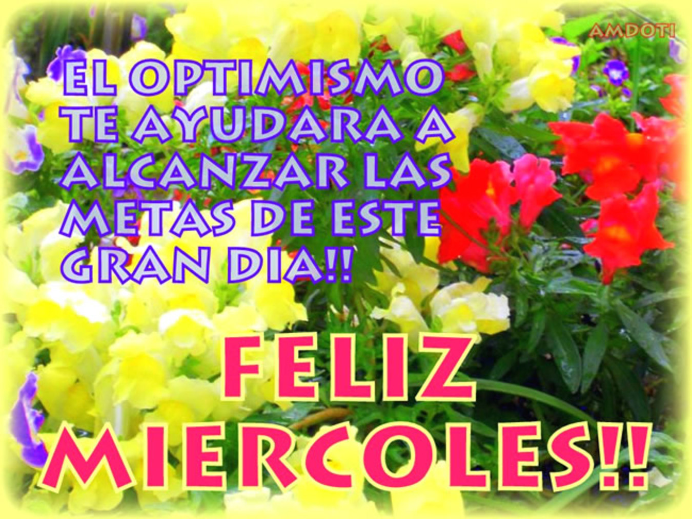 Feliz Miércoles con flores fotos 74