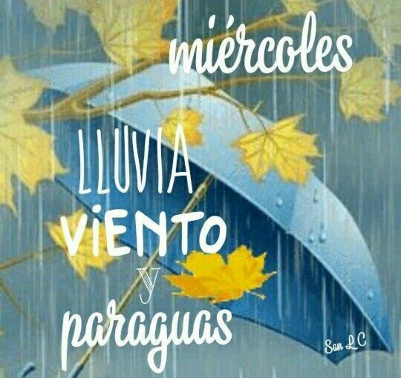 Feliz Miércoles con lluvia 182