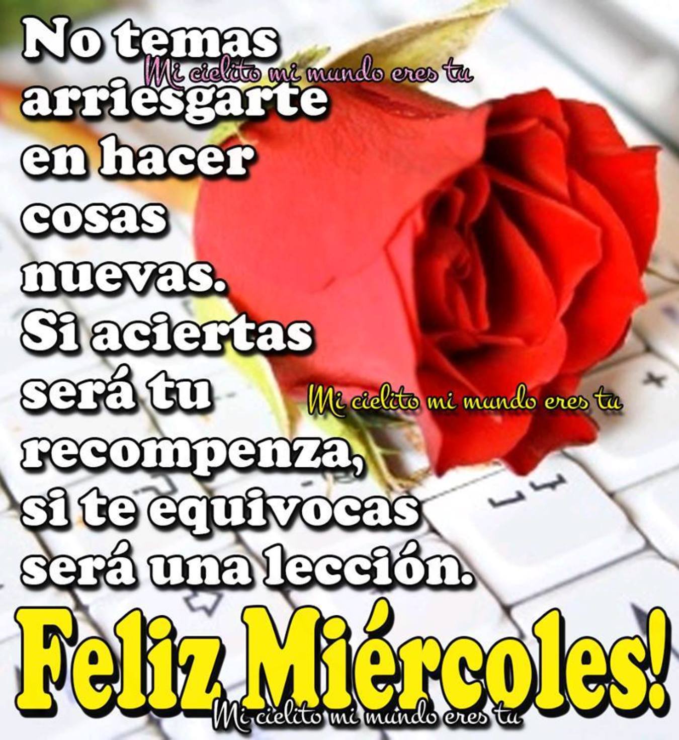 Feliz Miércoles frases hermosas 130