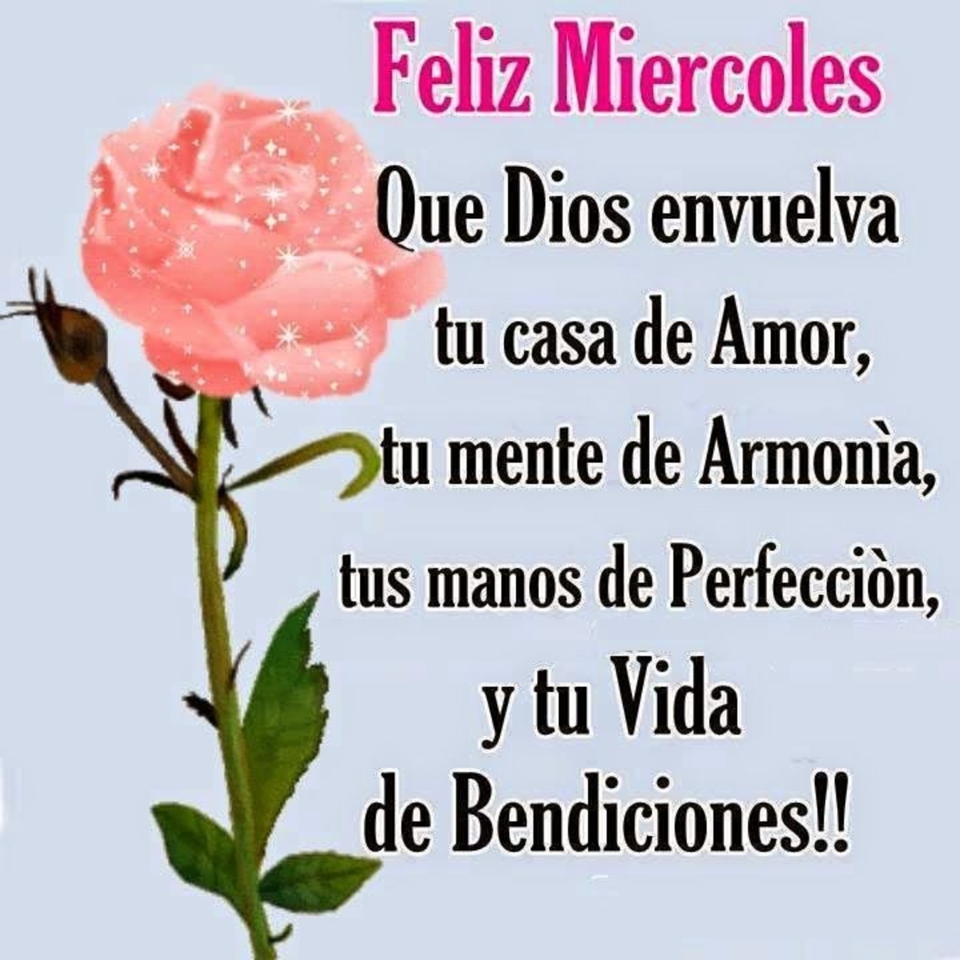 Feliz Miércoles frases hermosas 88