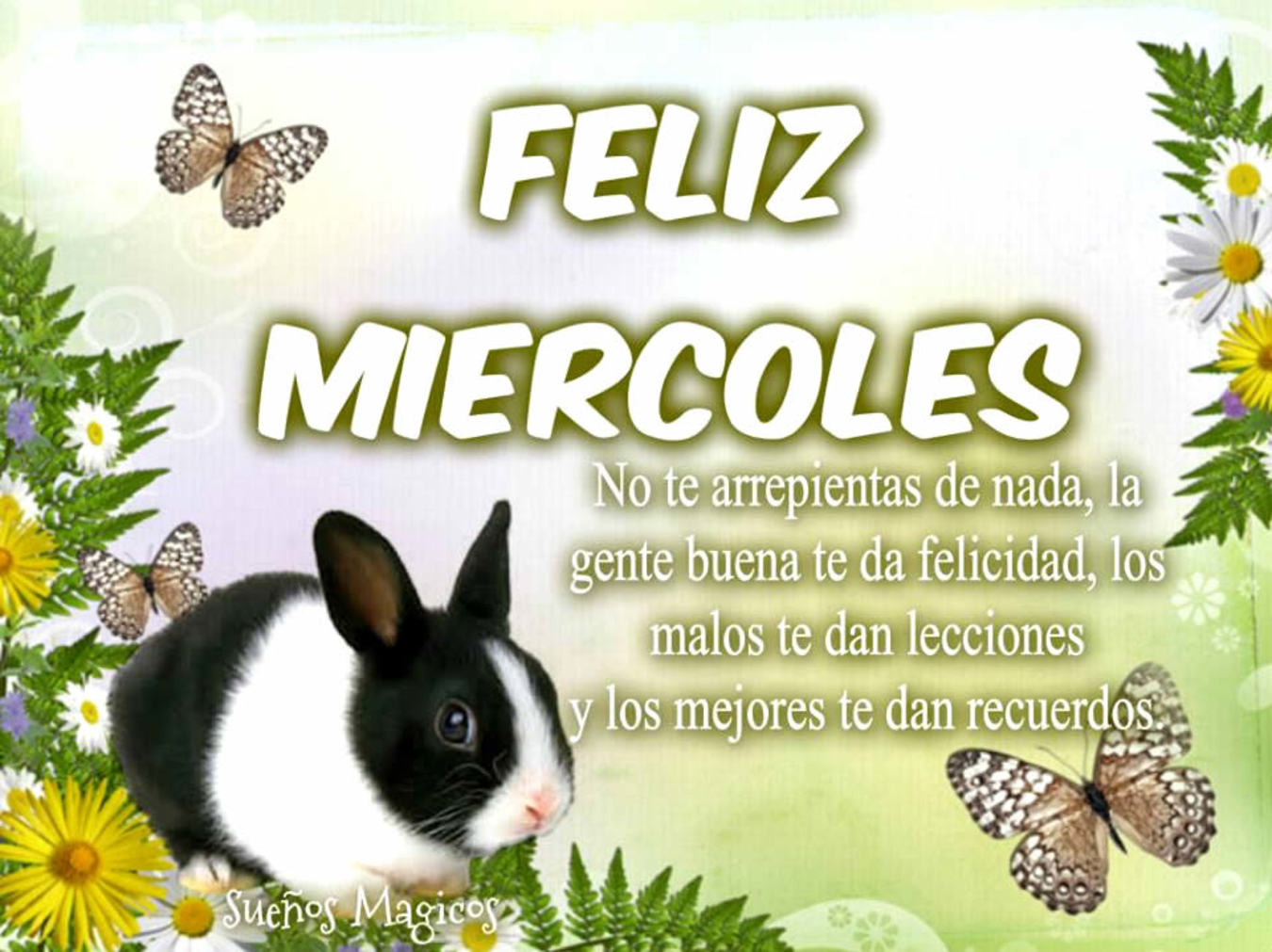 Feliz Miércoles imágenes graciosas 8