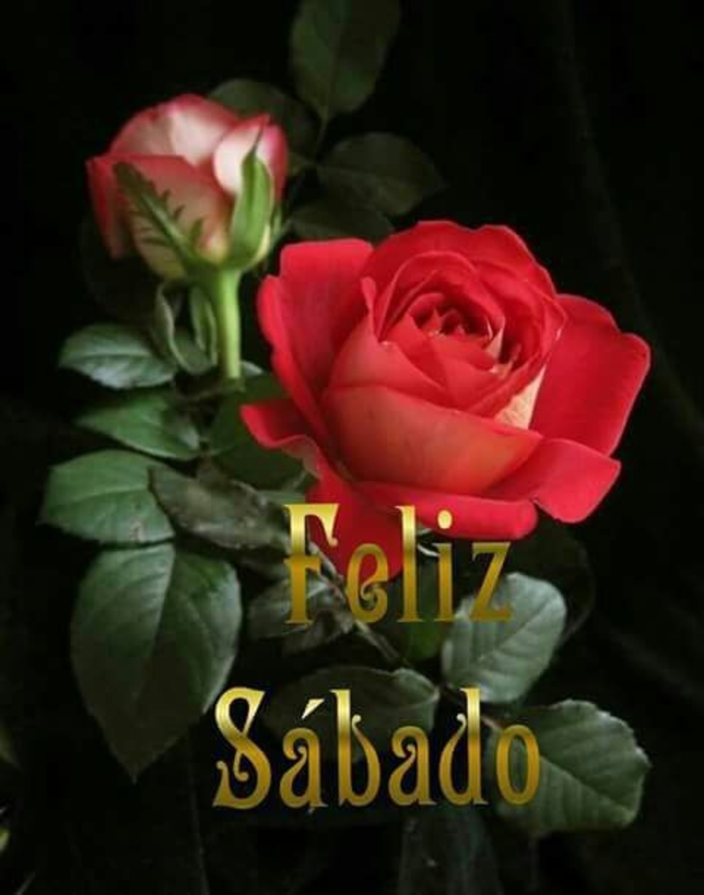 Feliz Sábado mi amor bellas imágenes - BonitasImagenes.net