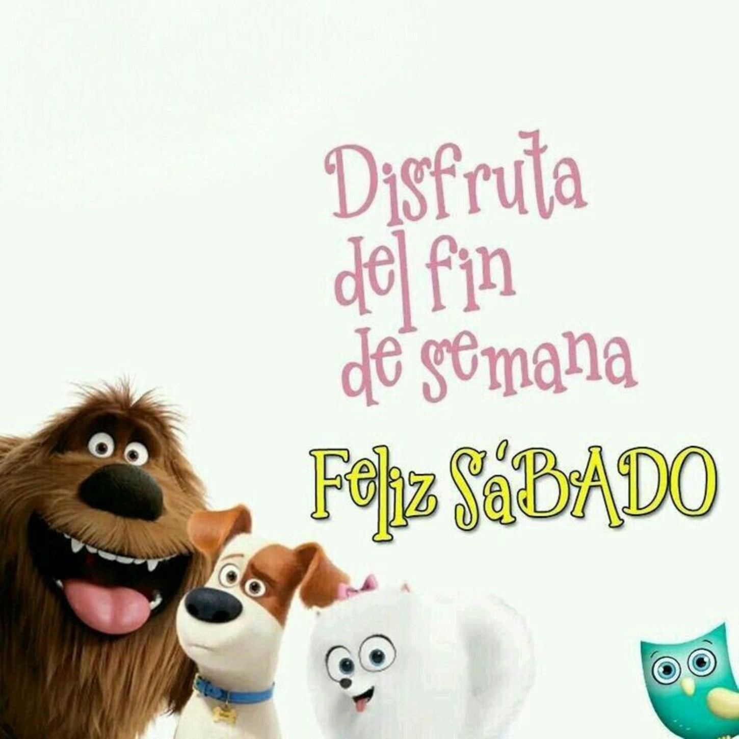 Feliz Sábado Buenos Días 301