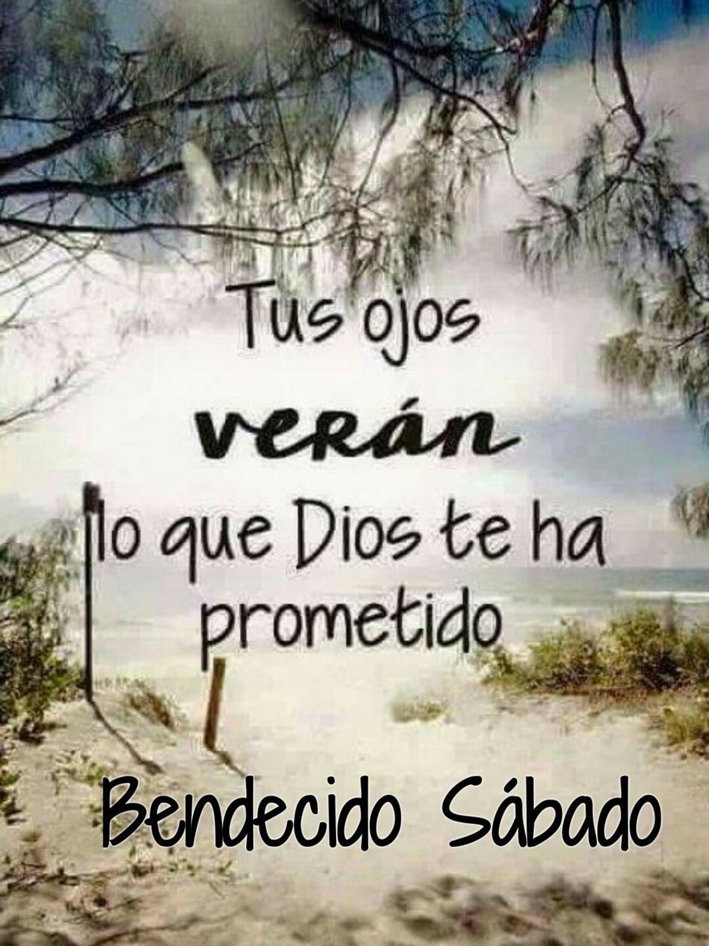 Feliz Sábado bendiciones 66