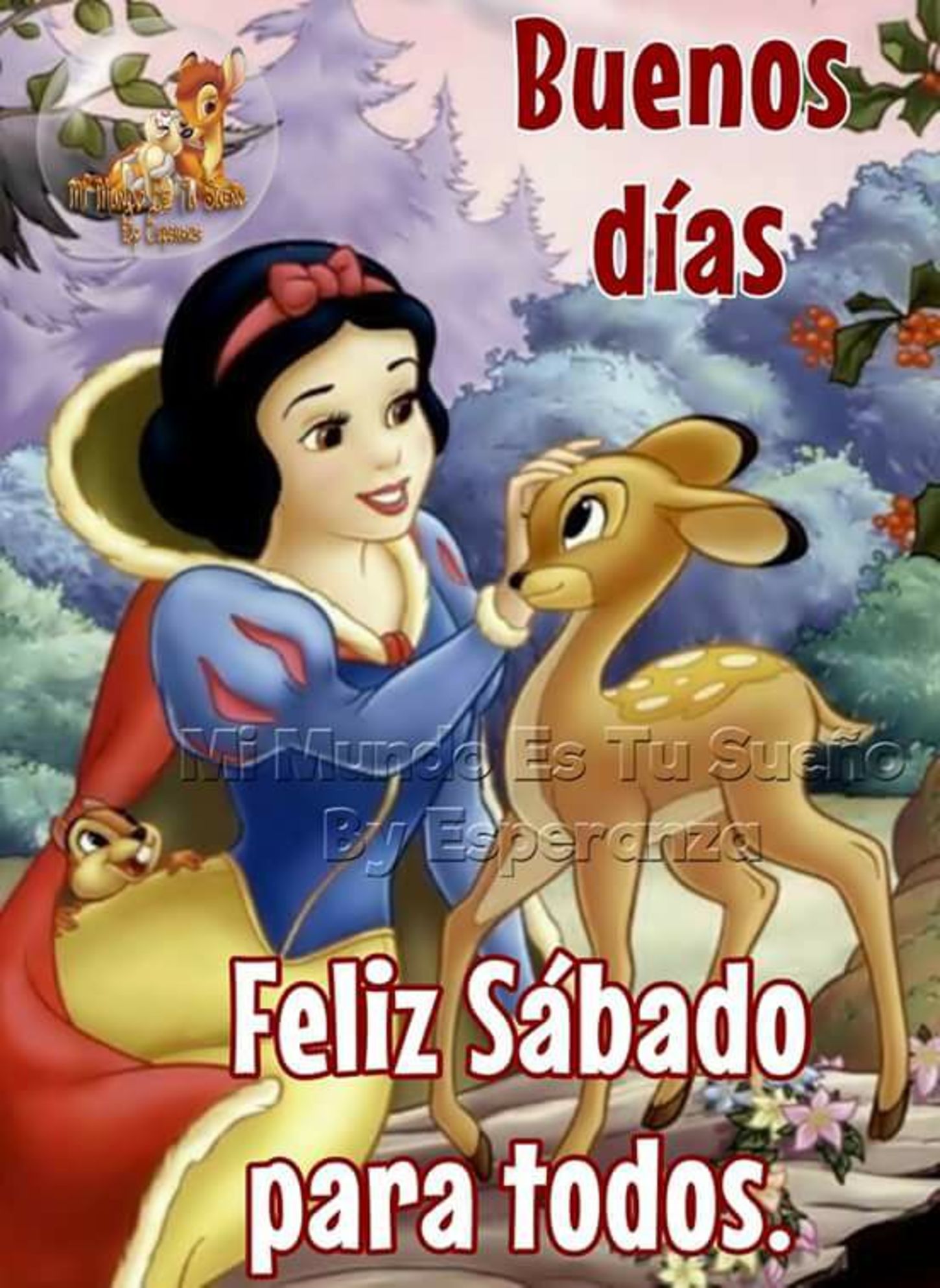 Feliz Sábado para todos 23