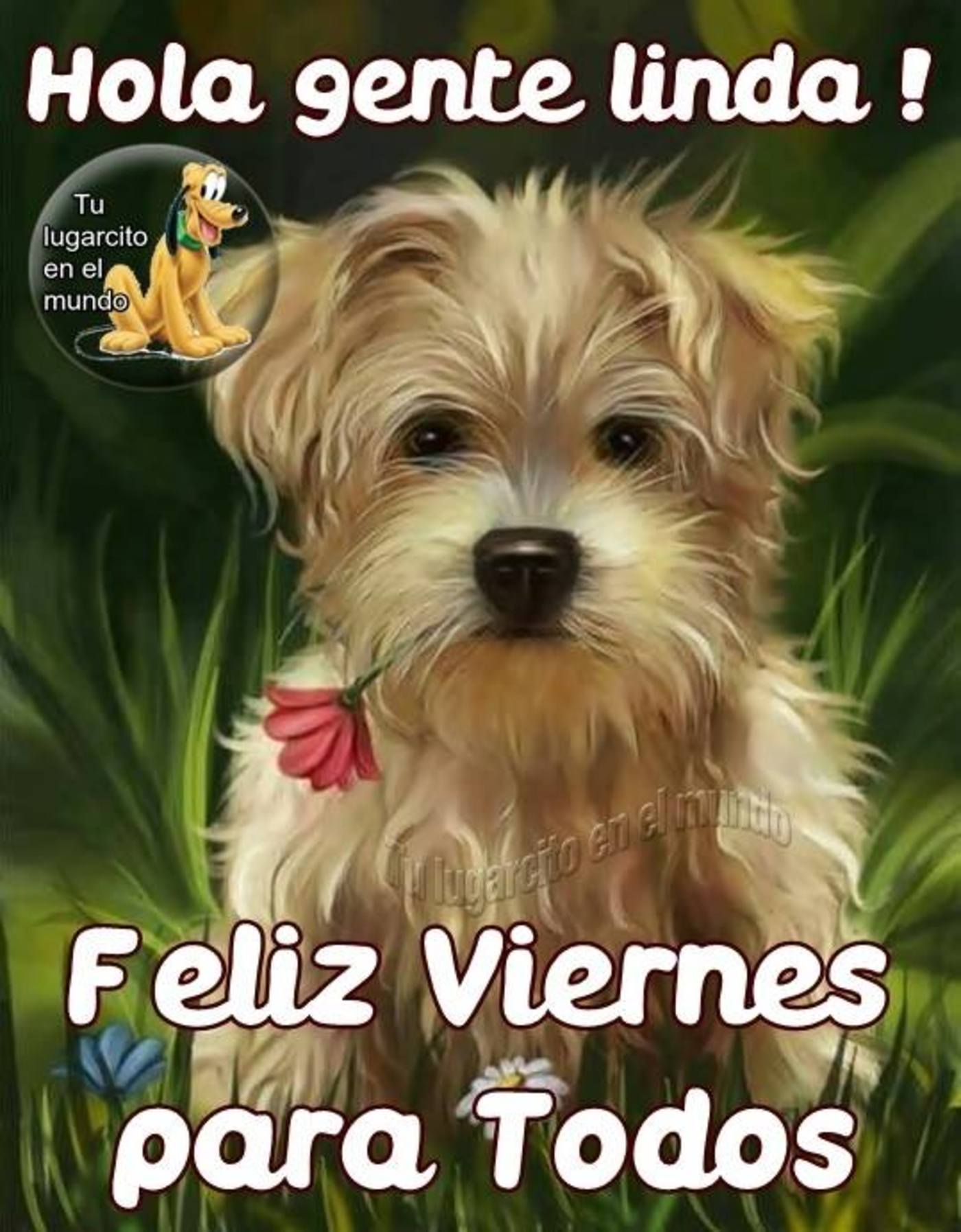 Feliz Viernes amigos 338