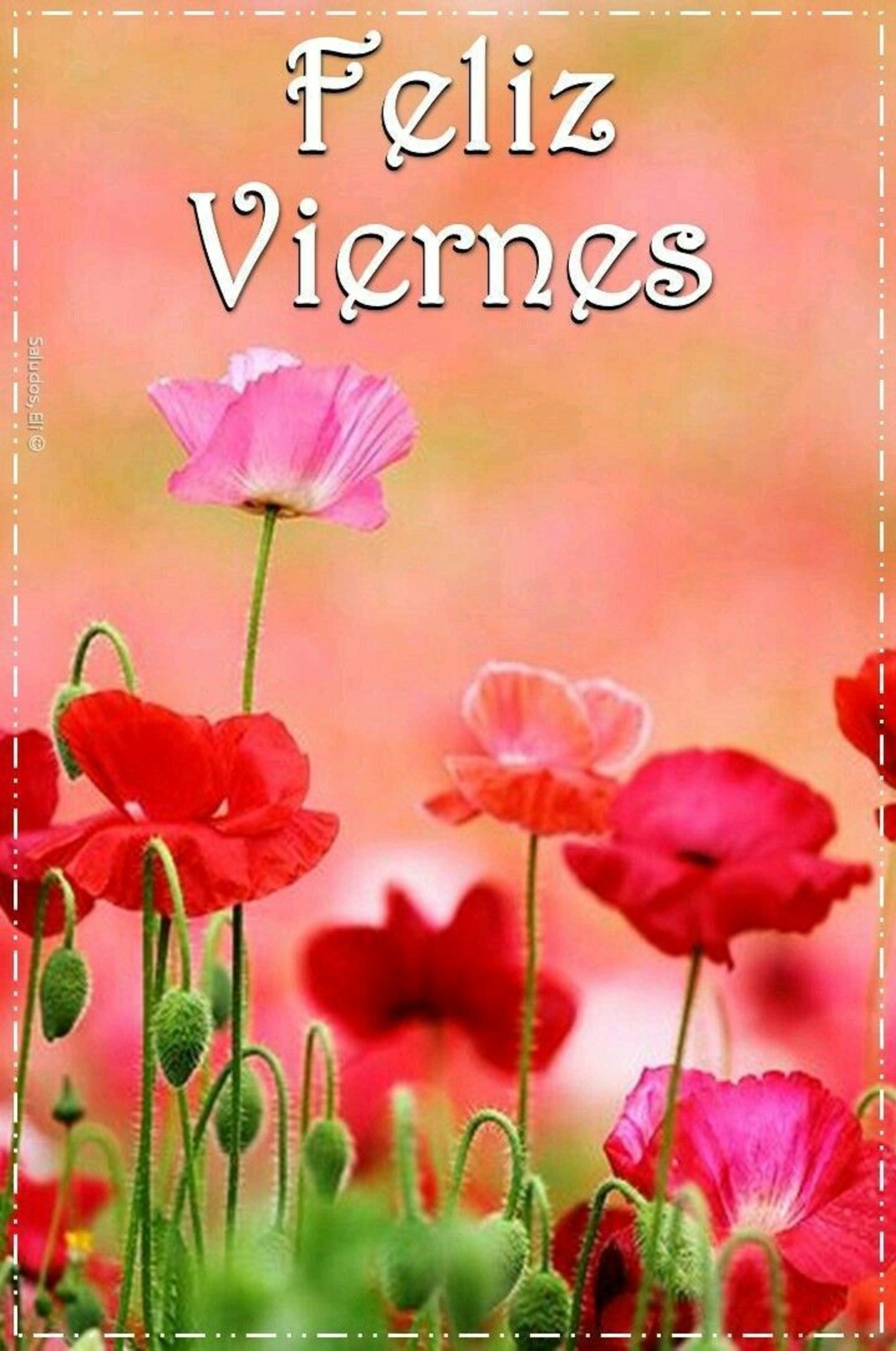 Feliz Viernes familia 327