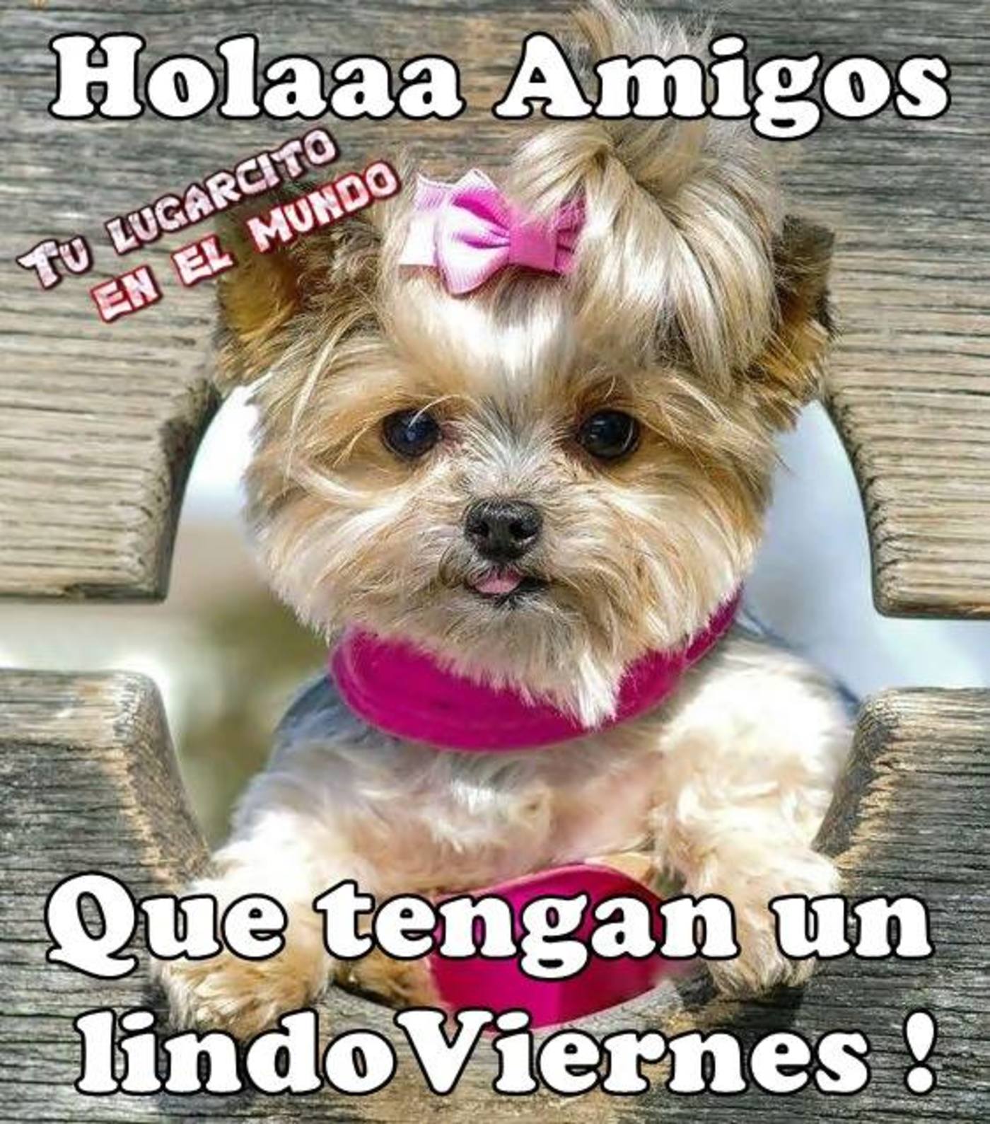 Feliz Viernes imágenes Pinterest 277