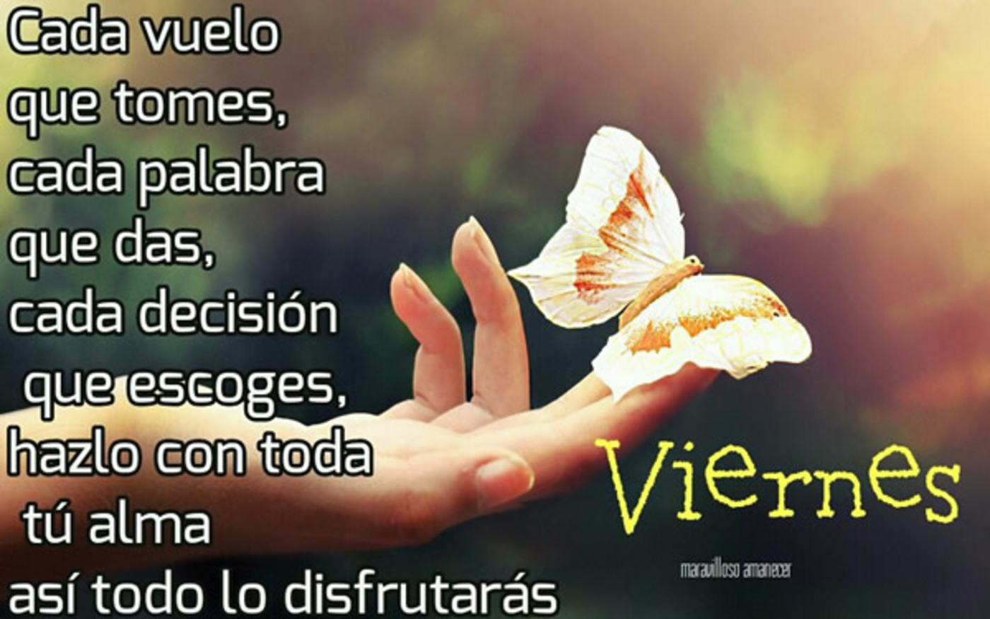 Feliz Viernes imágenes y frases Facebook 303