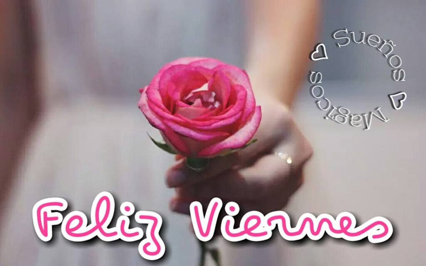 Feliz Viernes imágenes y frases WhatsApp 308