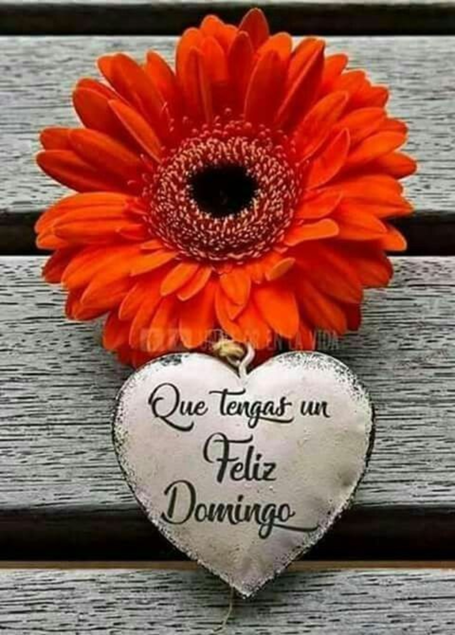 Feliz domingo bendiciones para todos 92