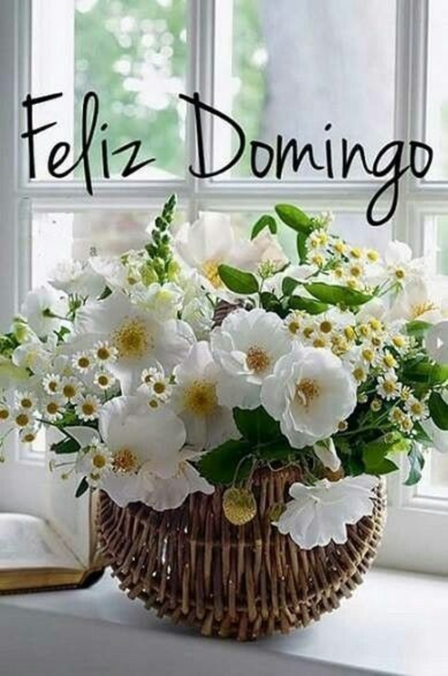 Feliz domingo bendiciones para todos 96