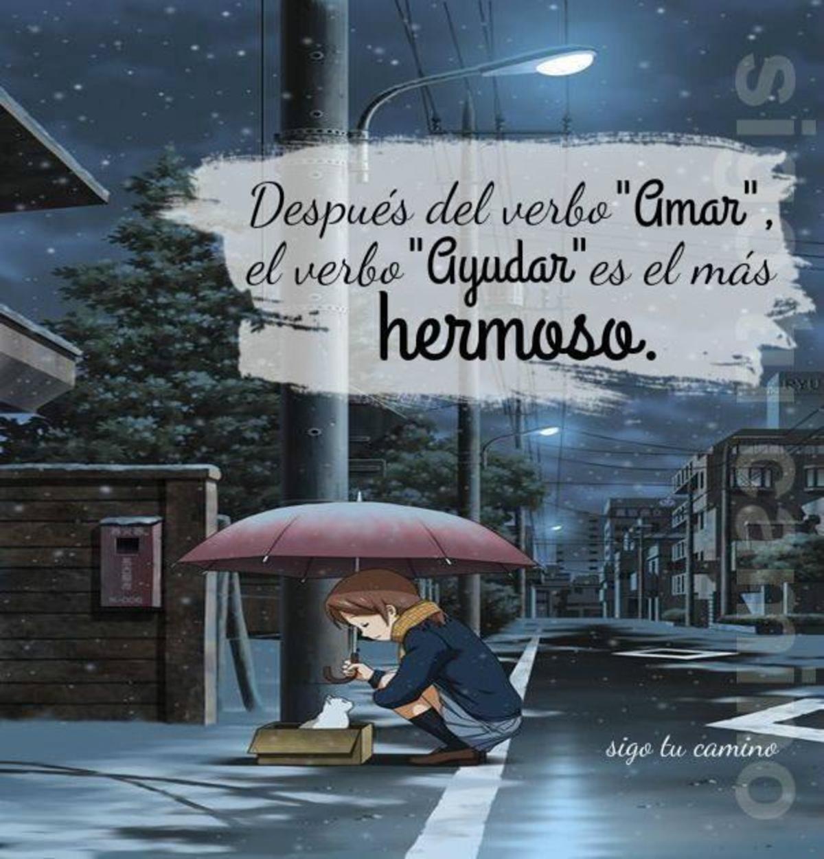 Fotos con frases bonitas gratis 336