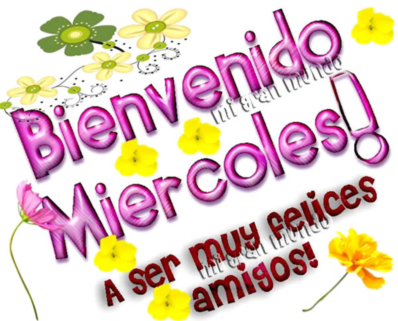 Fotos para WhatsApp de Feliz Miércoles 271