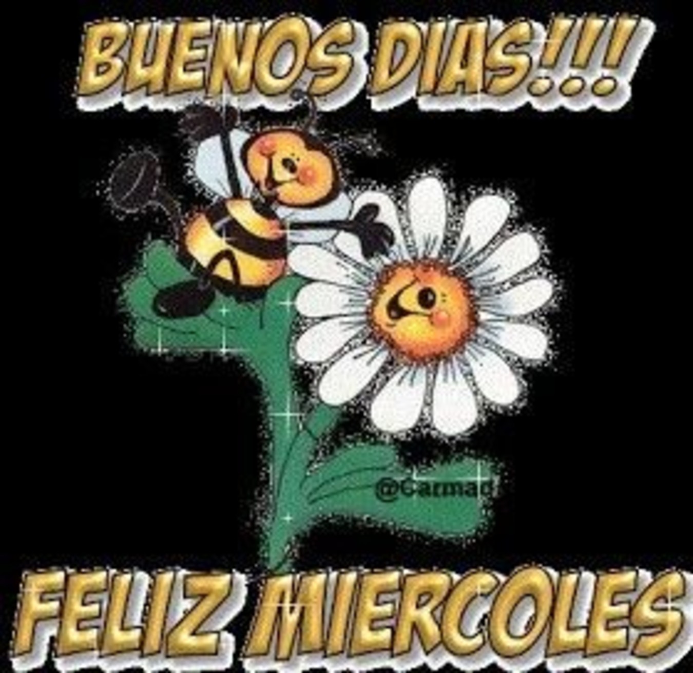 Fotos para WhatsApp de Feliz Miércoles 272