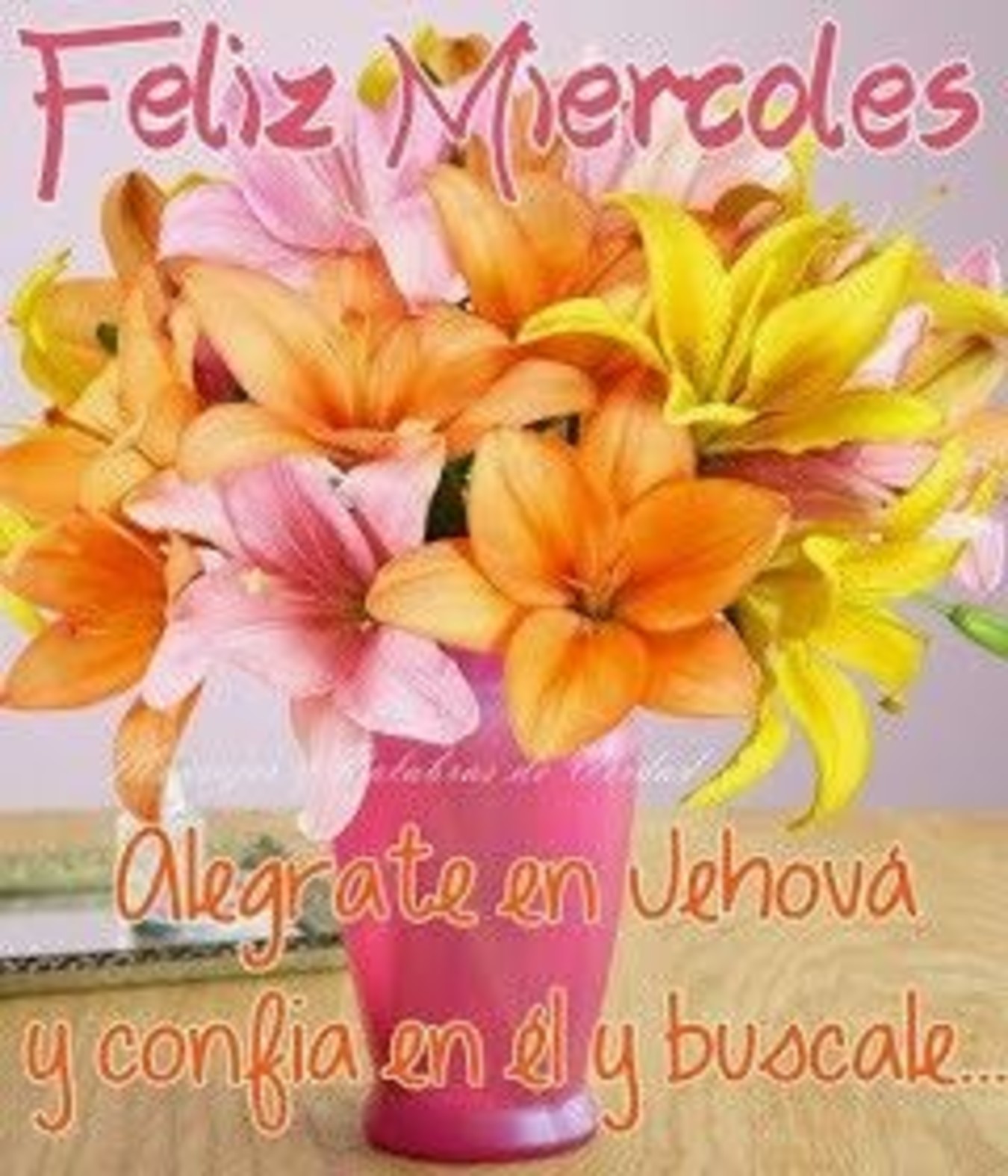 Fotos para WhatsApp de Feliz Miércoles 279