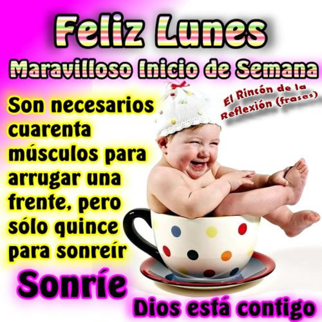 Fotos y frases de Feliz Lunes 212