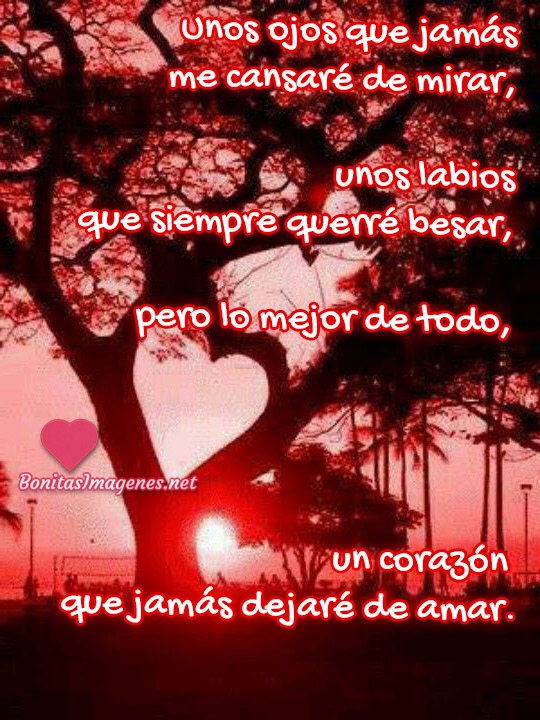 Frases de amor hermosas para enviar en WhatsApp