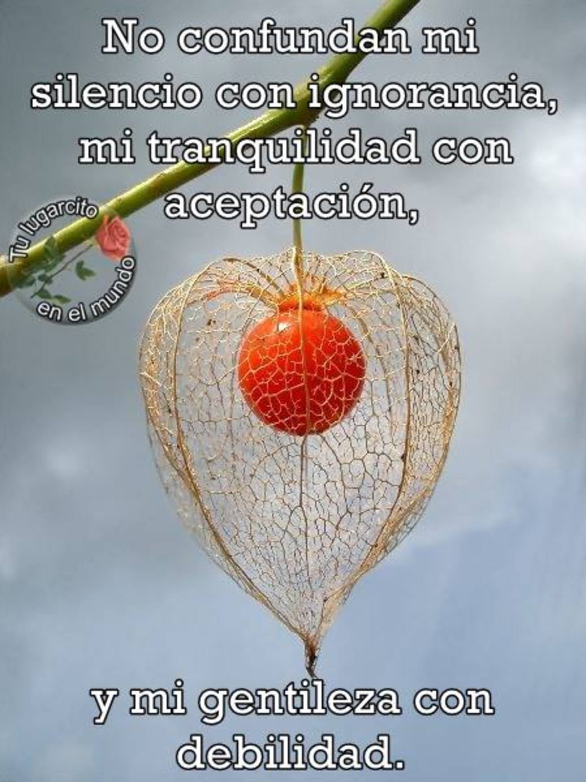 Frases De Reflexion 431 Bonitasimagenes Net