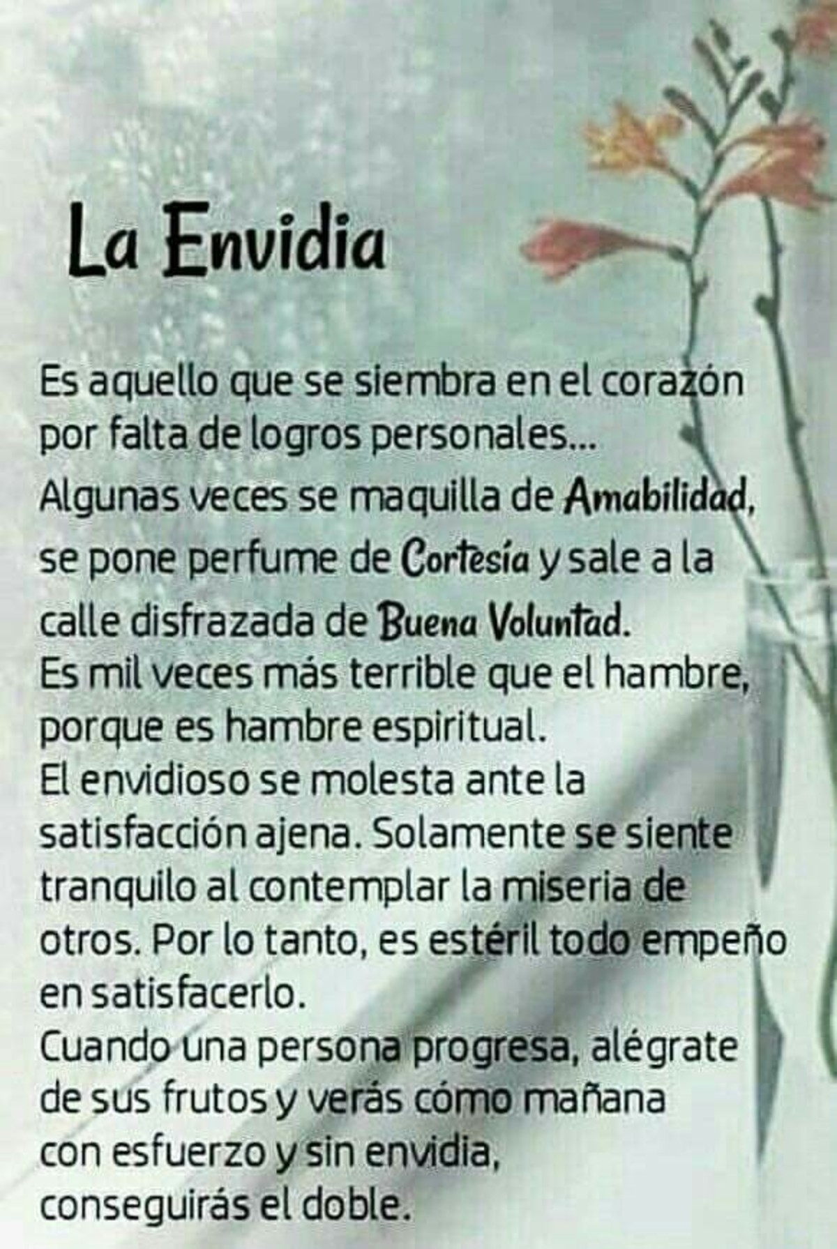 Frases graciosas para WhatsApp 440