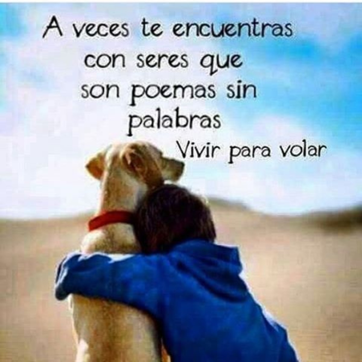 Frases graciosas para WhatsApp 445