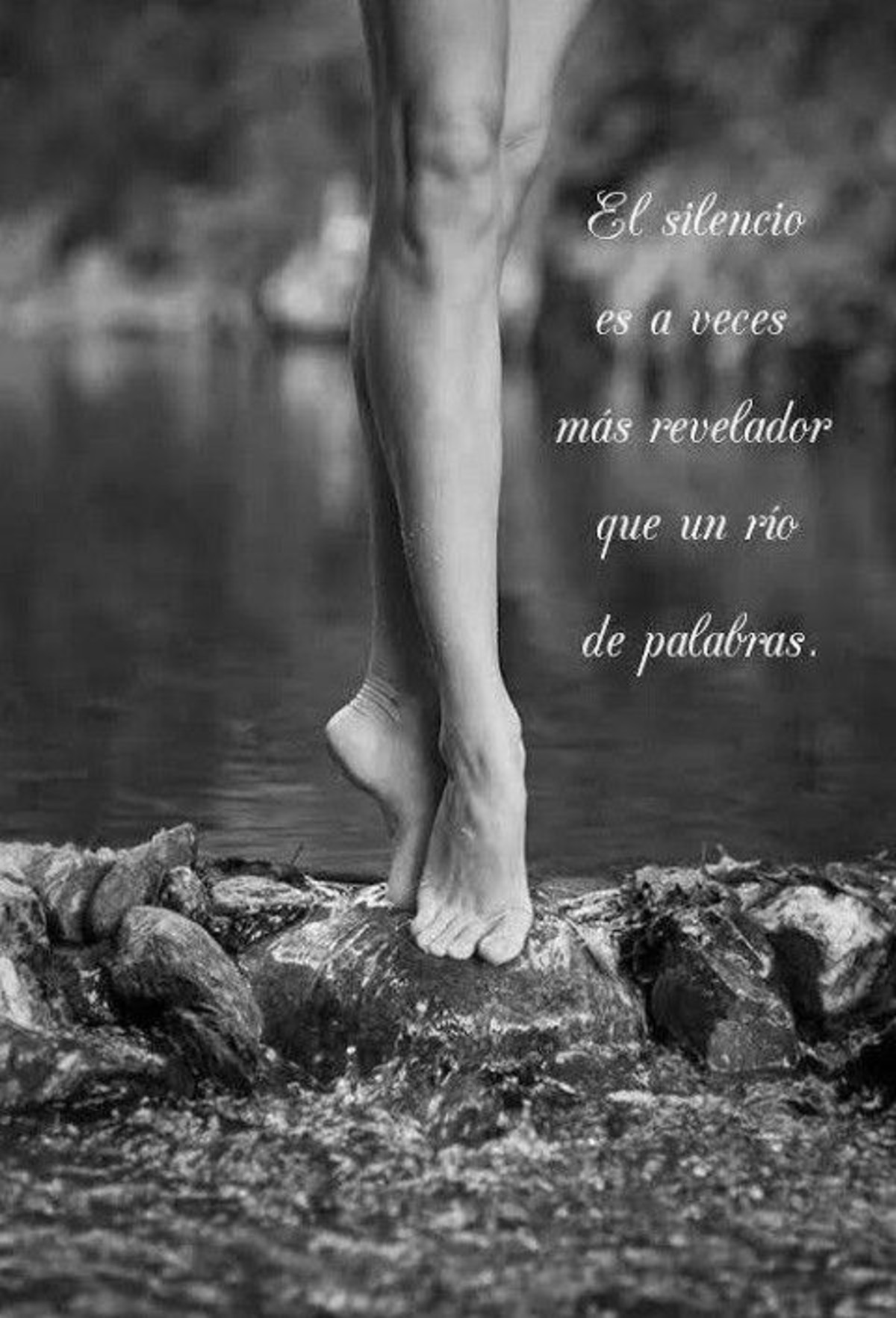 Frases hermosas 270