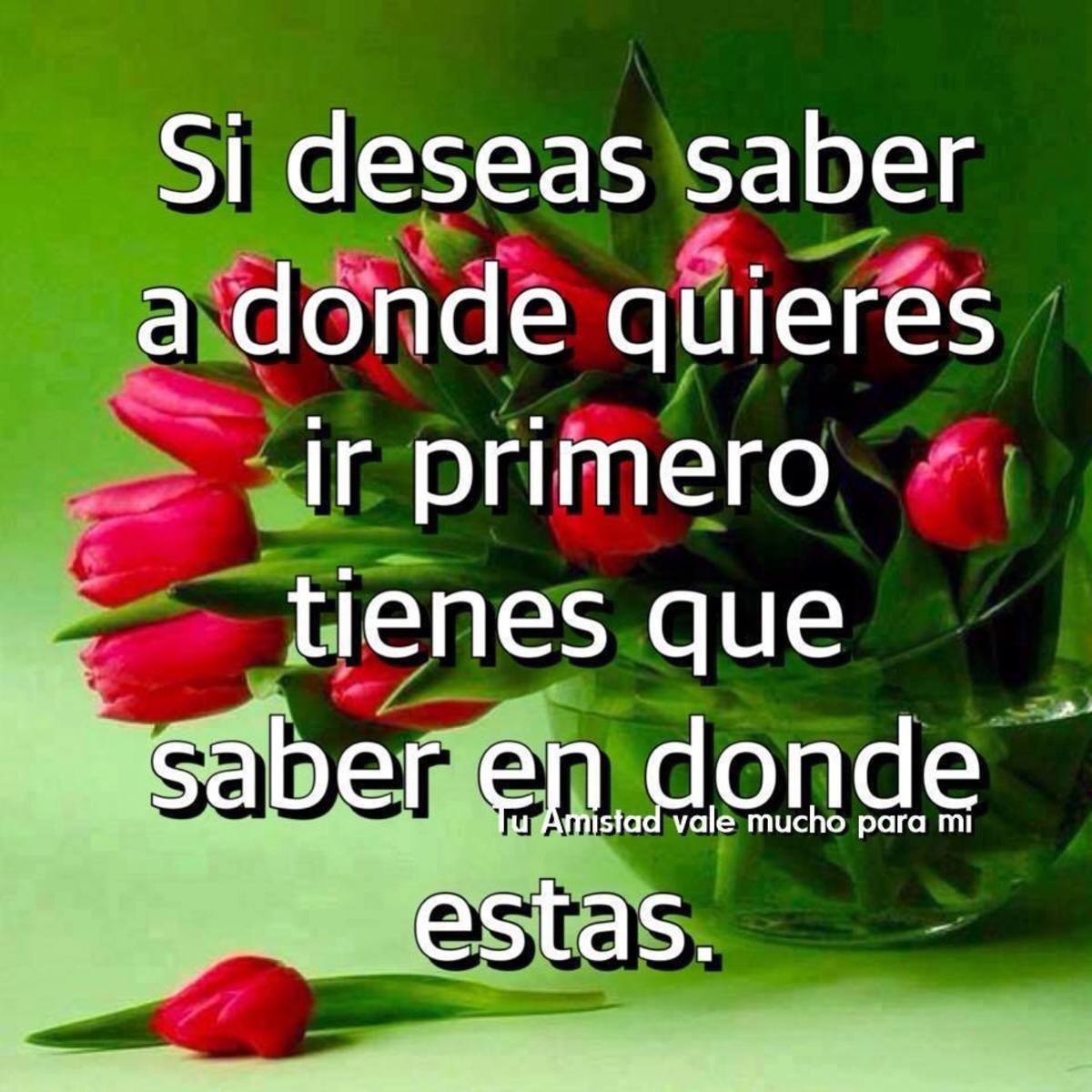 Frases imágenes y fotos para WhatsApp 151