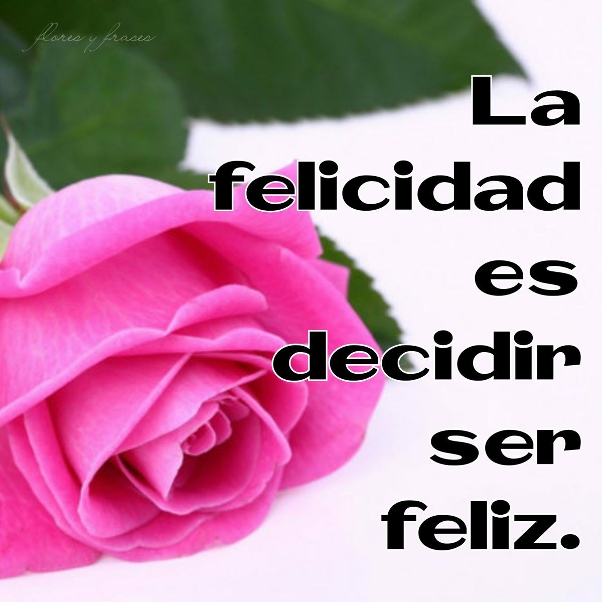 Frases sobre la felicidad 401