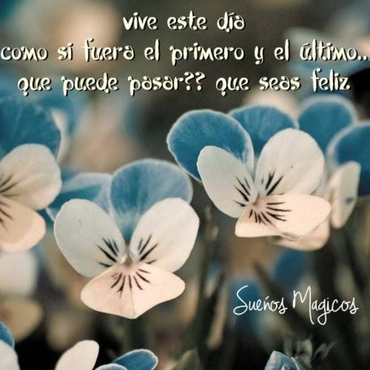 Frases sobre la vida 146