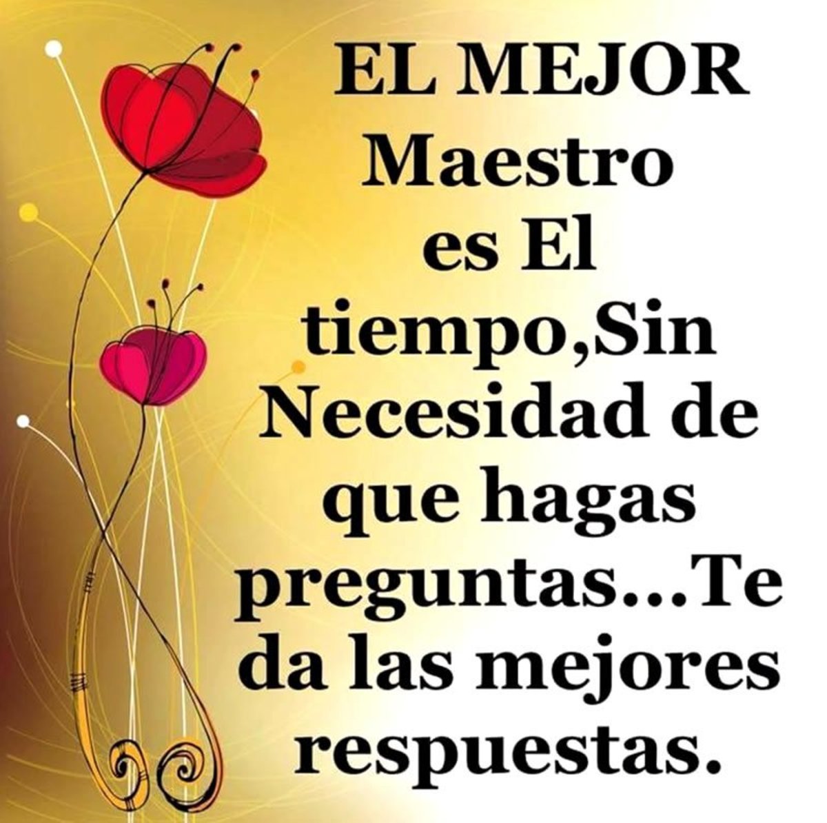 Frases sobre la vida Frases sobre la vida